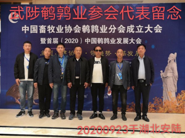 這一年，謝謝自己155